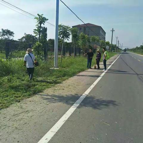 顶烈日战酷暑，助力“四好农村路”