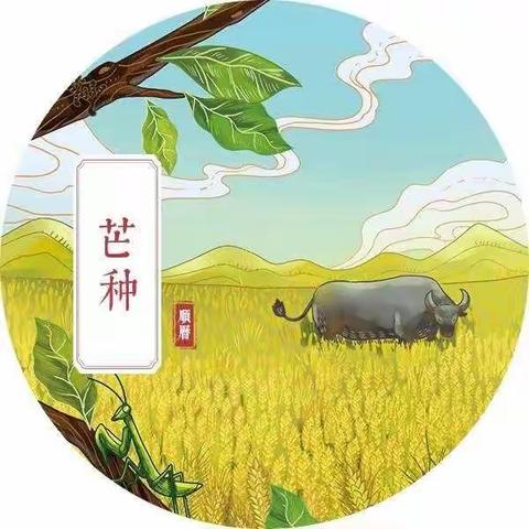 风吹麦浪 收获希望 ——理想幼儿园小班开展二十四节气“芒种”主题活动 - 美篇