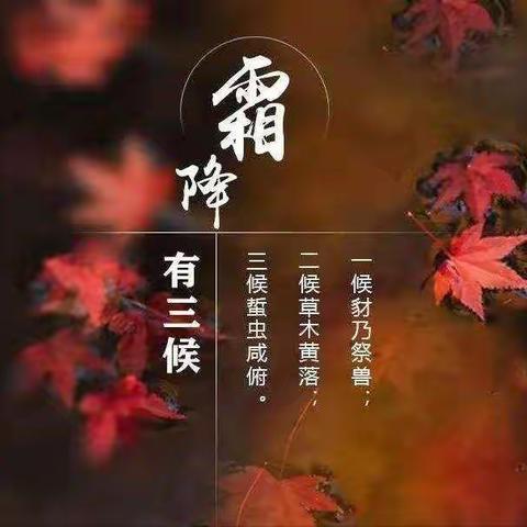 柿柿如意—二十四节气之霜降主题活动