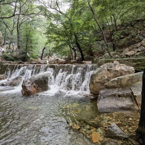 六年六班，李杨然筝 节粮节水电，从我做起