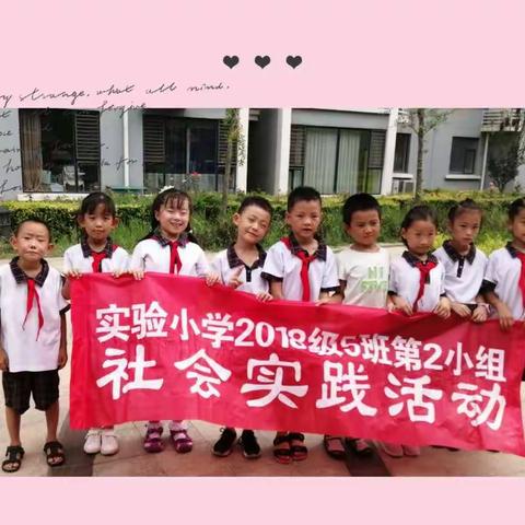 用核心价值观点燃成长火炬实验小学2019年暑假“绿色环保”社会实践活动