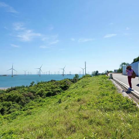 酷署洋溢；热情万丈！2022.7.10玫玫拍摄于&大练岛/鱼限村/长江澳