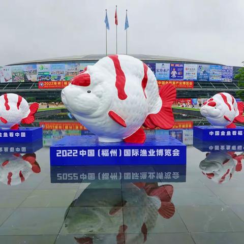 海峡会展中心&国际鱼博会玫玫2022.6.12拍摄