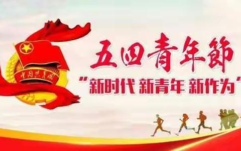 弘扬五四精神 展现青春风采－中卫市税务系统团委组织开展纪念五四运动100周年主题活动