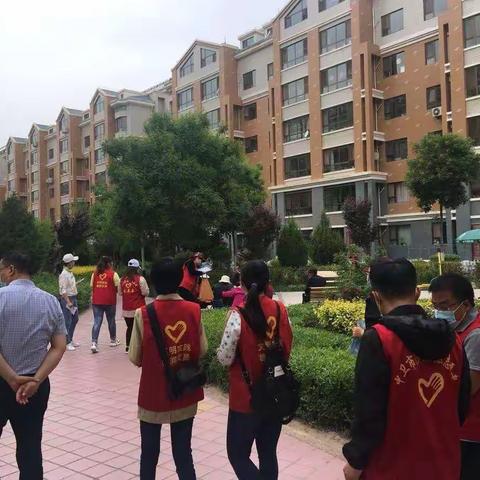 青春助力文明城  志愿服务显担当