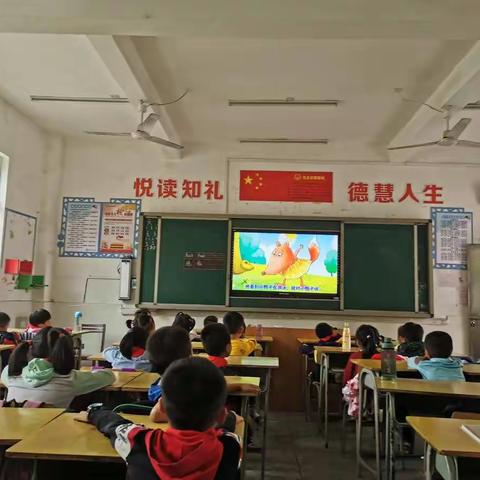 盘古山中心小学《狐狸和兔子》绘本共度——一（2）班阅读活动