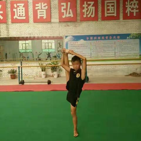 学武术看实力