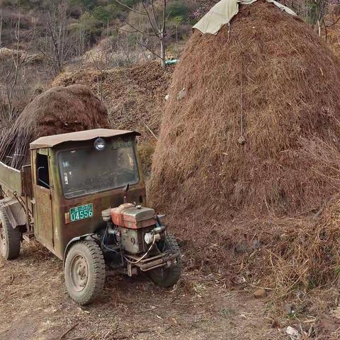 小山村