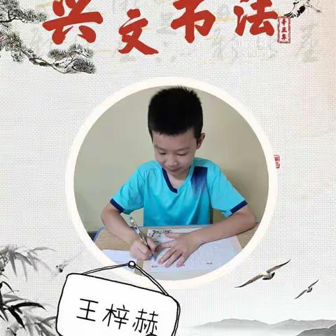 兴文书法－“周之星”