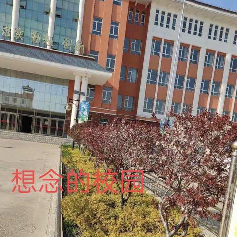 难忘的回忆