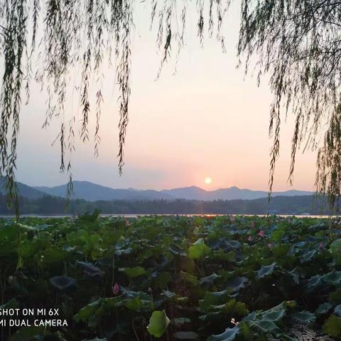 半山脚下映出物理学习的激情(第四天）