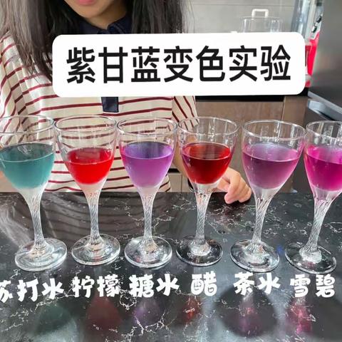 天然色素：研究紫甘蓝变色实验