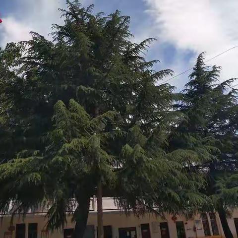 一分耕耘，一份收获――牛店镇矿区小学期中考试段考总结表彰大会