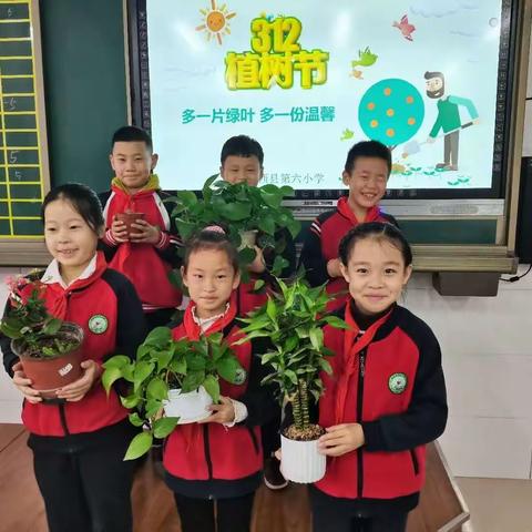 春风十里，不及一抹新绿——迁西县第六小学植树节活动