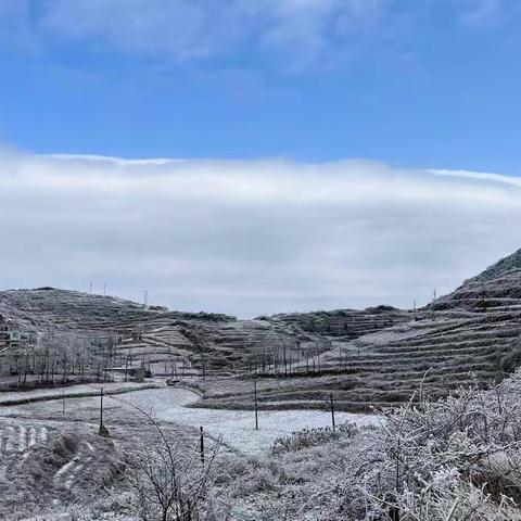 雪花飞舞，舞出快乐的寒假！