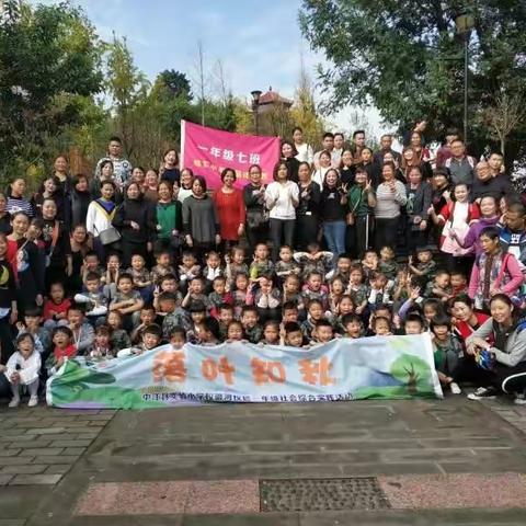 落叶知秋——— 放下书卷 品读自然