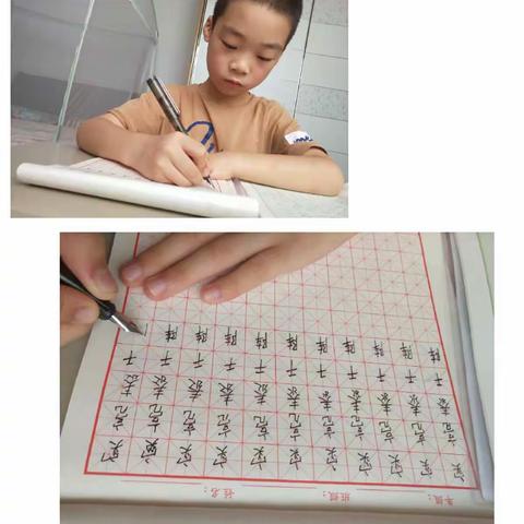 骏骏上学第二周❤️