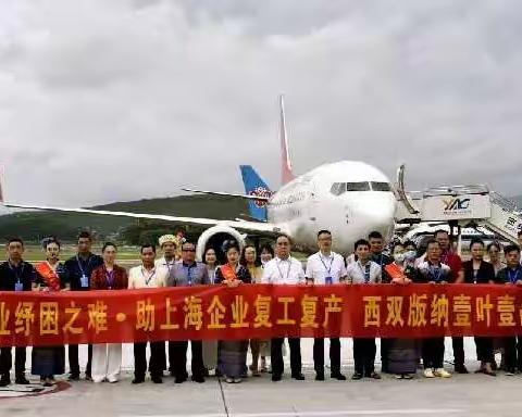 “云海情深，沪滇同行”西双版纳助力上海企业复工复产。