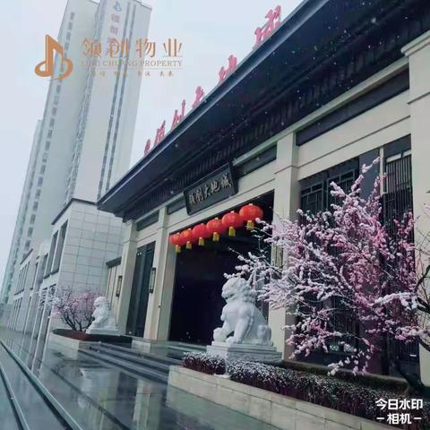 领创物业 | 园区换新装，新春新气象