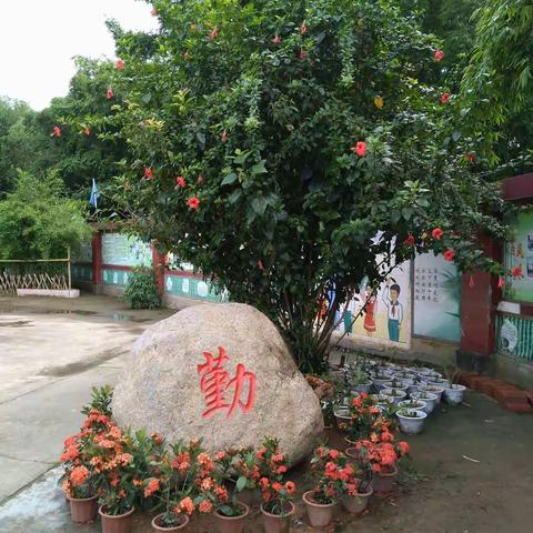 岁月无声，记下点滴