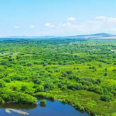亚洲最美湿地--走进呼伦贝尔大草原之二