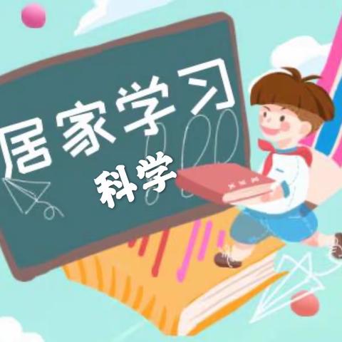 【星甸小学-科学抗疫】奇妙科学之旅报道