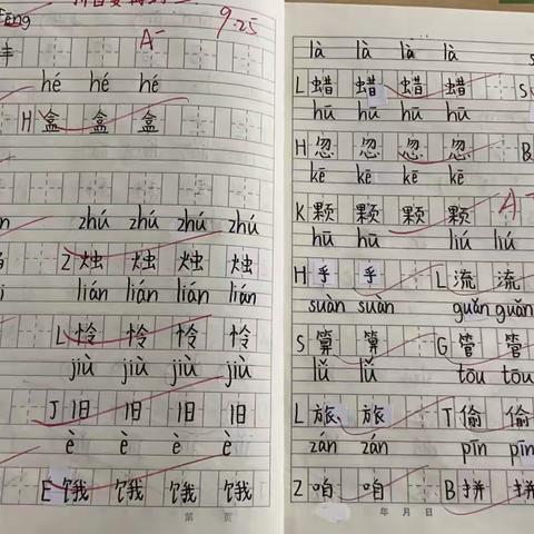 作业检查，加快反思提升 ——中路中心小学中段语文学科作业检查活动（十月份）