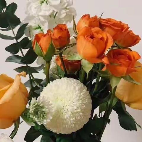 国际一班🌱我们和春天有个约会🌈