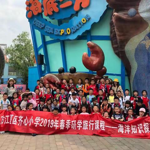 春日的花朵向阳绽放