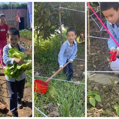 五一劳动争章活动