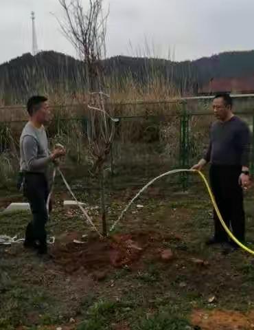 三月植树节，黄中教师齐献力