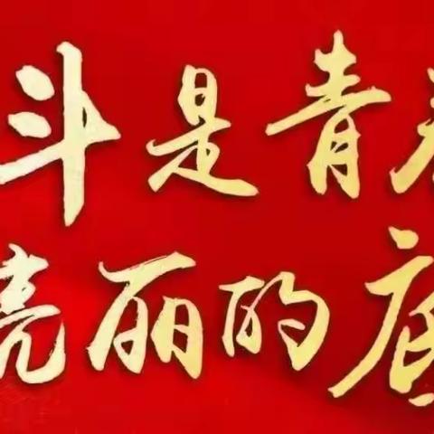 “重温入团誓词，勇担青春使命”——宁陵县初级中学团支部主题团日活动