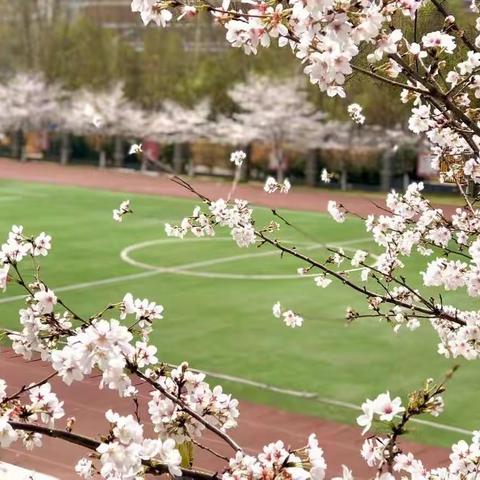 2022年3月16日（星期三）值班小结