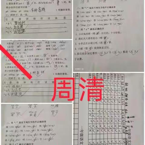 廉坡小学“四清”工作检查情况汇报