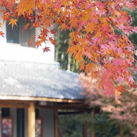 半岛如画里，石城望晴空