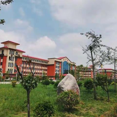 多彩活动激兴趣，总结反思再启航～新时代国际学校低段语文组活动汇总