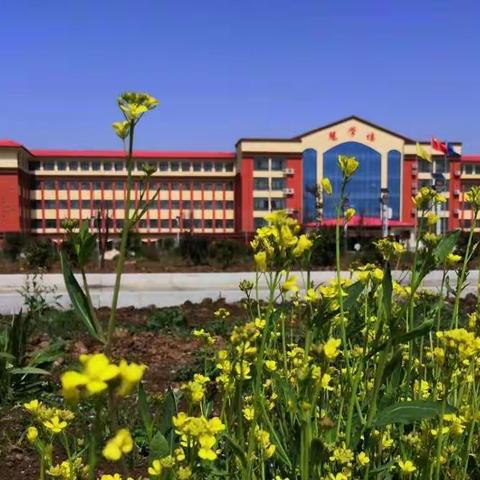 新时代国际学校三（3）班～嘿，伙计，你想我了吗🤗