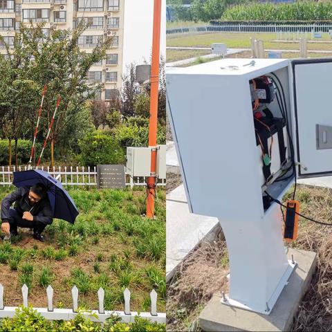 暴雨中的临渭气象人