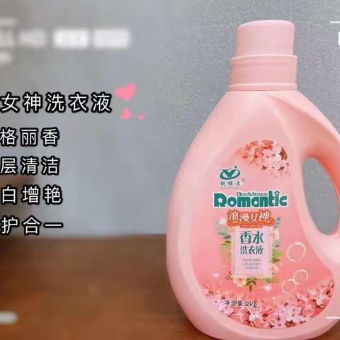 靓雅洁，洁净您的家！