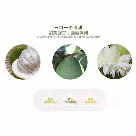 安福金兰柚，柚子中的极品