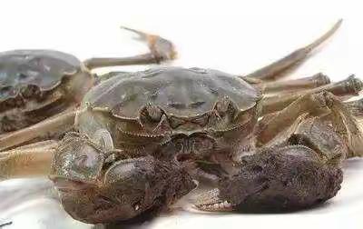 启航的美篇