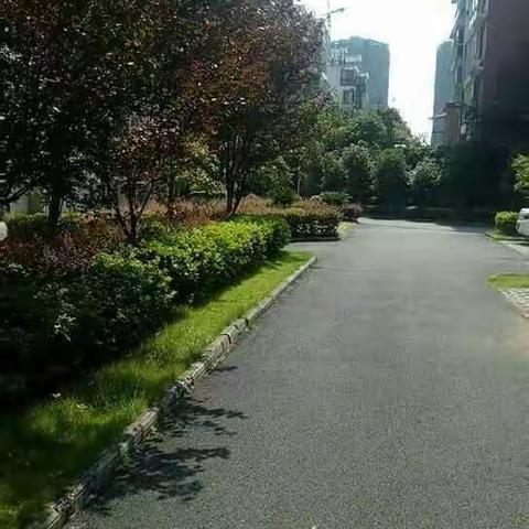 2018年美丽的宜教花苑，美好家园从我做起！