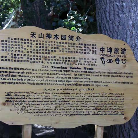 新疆印象