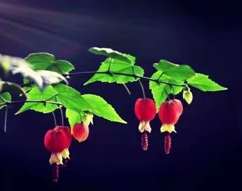 最能改变人的地方