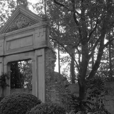 农村近代怪象蔓延