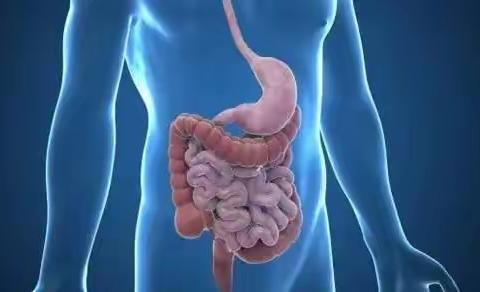 益生菌不是西药，也不是中药，是一种微生态免疫剂！