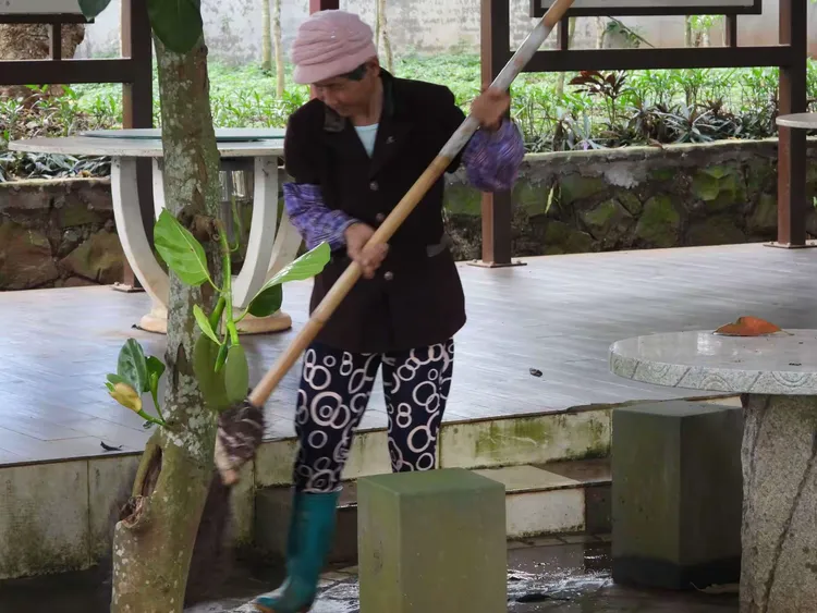 望着大片被压得沉甸甸的金黄稻田,听着树梢或是田野中隐约传来的鹭鸟