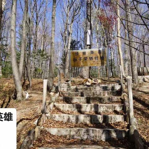 我心中的“杨氏三雄”（二）