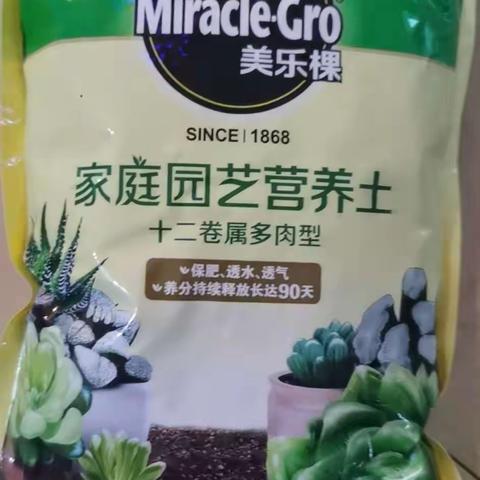 汪祺峻科学作业（凤仙花）