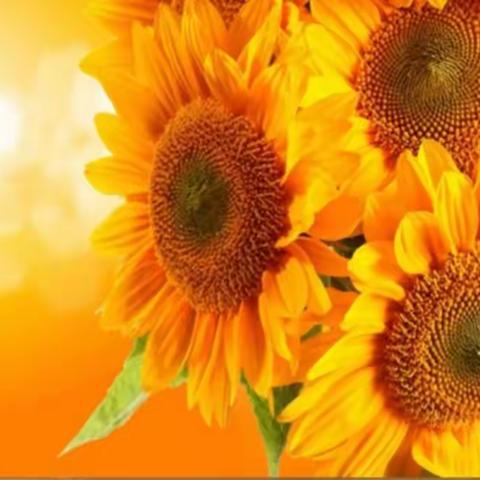 2021——特别的冬季